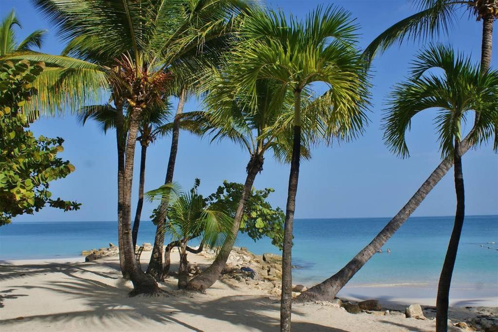 Siboney Beach Club St. John's Extérieur photo